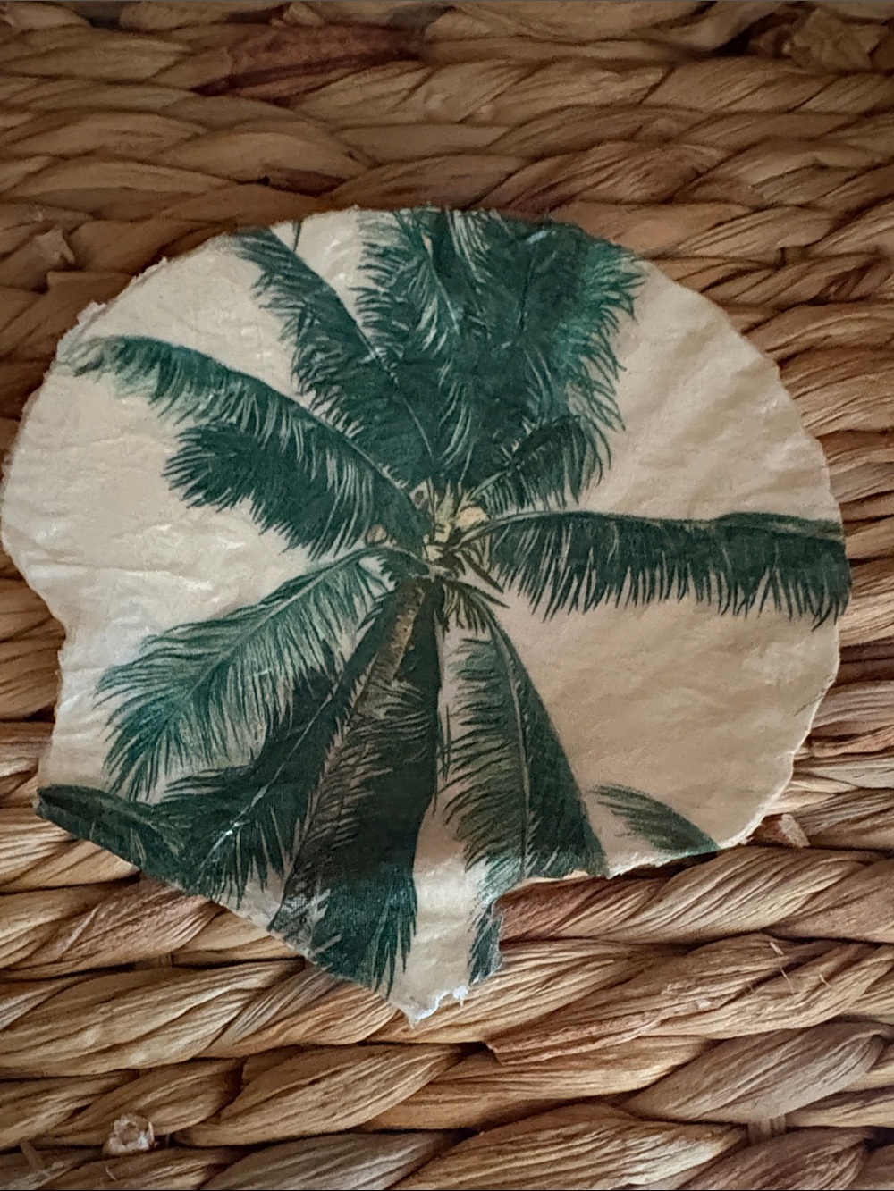 Hand Crafted Green Palm Tree Decorative Shell Accent